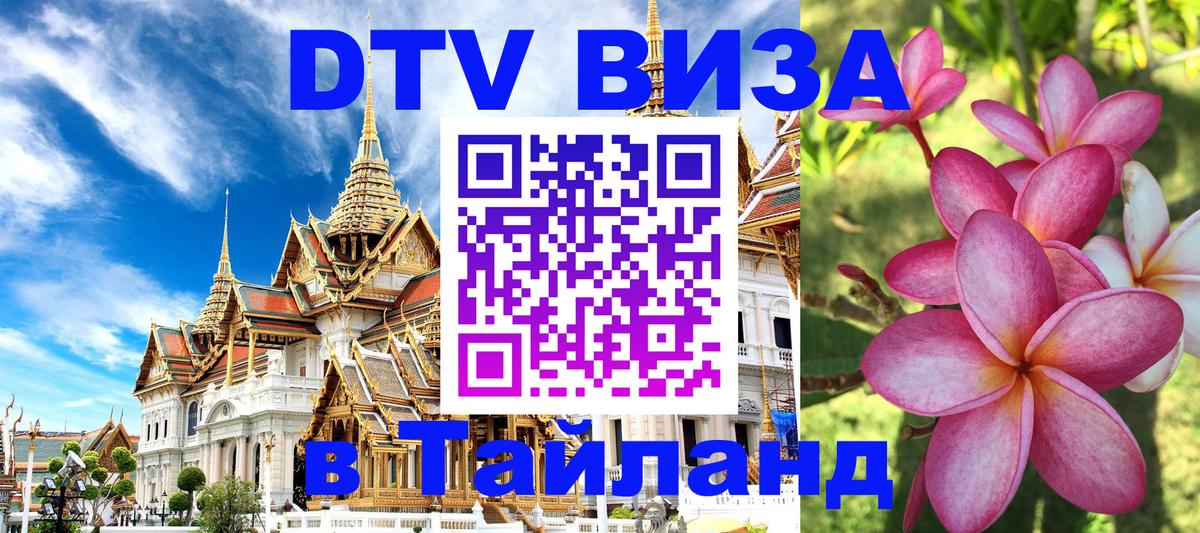 Оформление DTV визы под ключ: стоимость и тарифы, только загранпаспорт - 